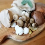 Macronutrients in Mushrooms That Can Be Eaten